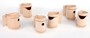 desinature-web-products-birdee desinature-web-products-birdee