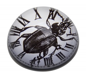 Beetle Clock Precious Paperweight, Rory Dobner