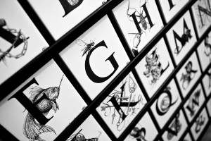 Tiles, Rory Dobner